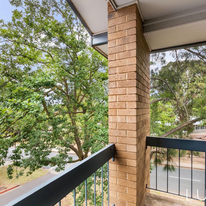 11C/6 Irvine Street, Watson ACT 2602 - Apartment For Rent | Domain - Photo 1