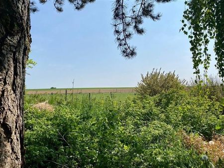 Huis te huur - Photo 5