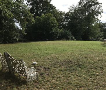 Rare Opportunity, Access to Private Woods and Breath Taking Views o... - Photo 2