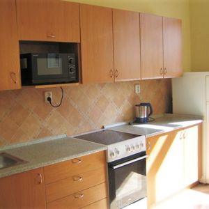 Pronájem pokoje 70 m², Hradecká, Opava - Fotografie 2