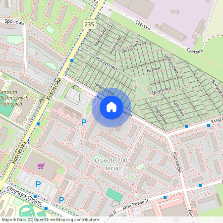 Szczecin, Książąt Pomorskich