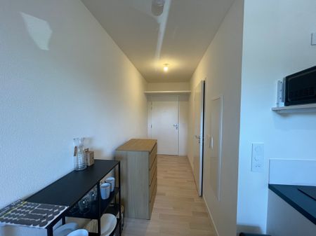Location Appartement 1 pièce 19m² - Photo 5