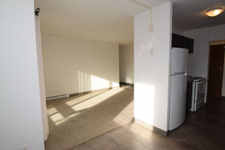 For Lease - 36 Freeborn Avenue Unit# 210, Brantford, Ontario - Photo 5