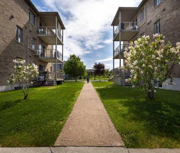 4 1/2 à louer Lévis centre-ville - Photo 3