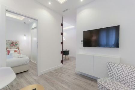 Calle de Argumosa, Madrid, Community of Madrid 28012 - Photo 2