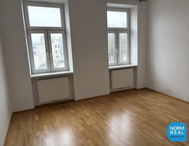 3 Zimmer WG -Eignung mit Gartenbenutzung - Photo 1