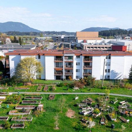 Mainstreet Duncan Apartments - Photo 4