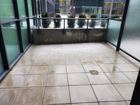 For Lease - 38 Iannuzzi Street Unit# 311, Toronto, Ontario - Photo 5