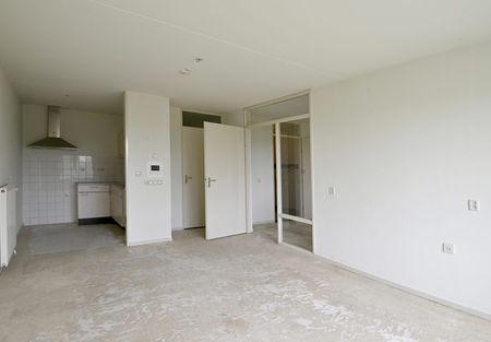 Saxenstate 9 - Foto 5