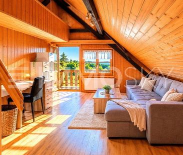 2.5 Zimmer, 35 m², 1. Stock - Photo 1