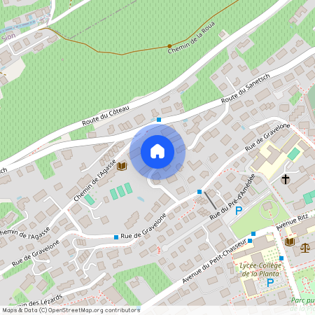 Route de Gravelone 50C, 1950 Sion