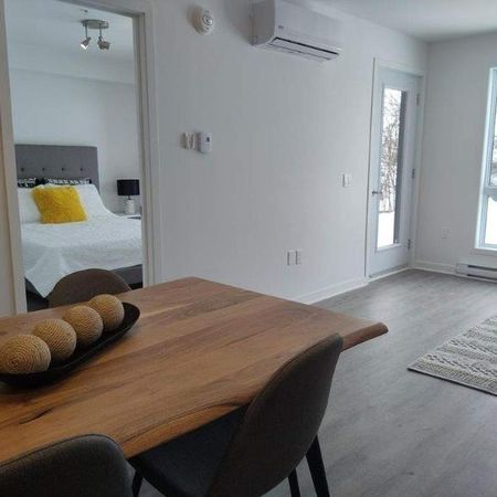 1 CH - 1 SDB - Laval - $1,520 /mo - Photo 4