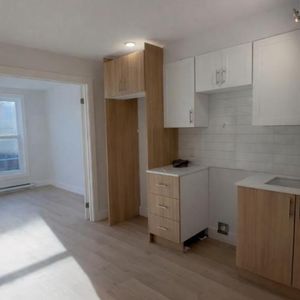 3 1/2 - Montréal (Centre-Sud) - 1 395 $/mois - Photo 2