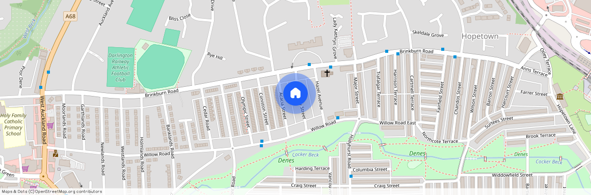 Hamsterley Street, Darlington