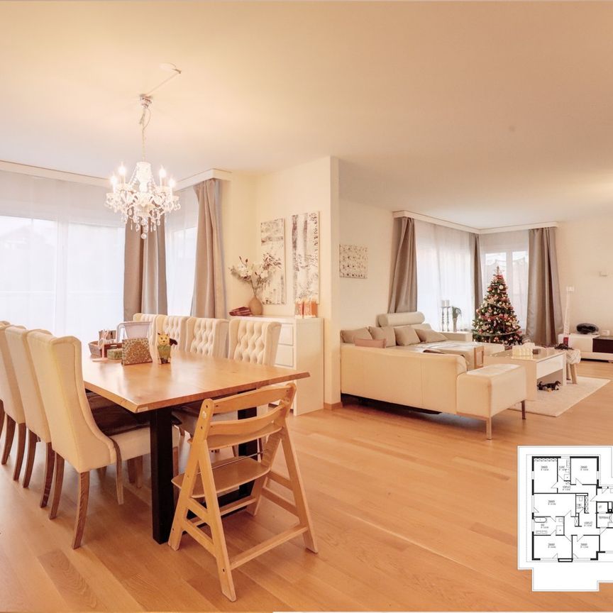 240 m² Penthouse mit Panorama-Bodenseeblick und 210 m² Terrasse - Foto 1