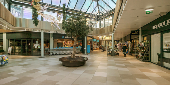 Brink 166 1188 NH Amstelveen - Photo 3