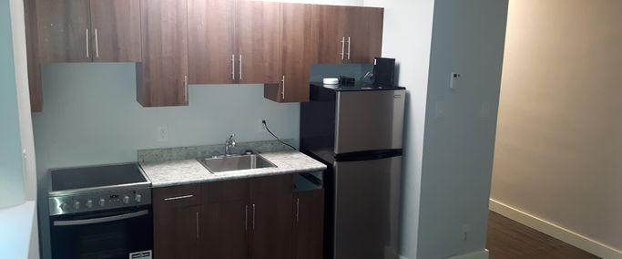 85 Hargrave Street Downtown and PET FRIENDLY! | 85 Hargrave Street, Winnipeg - Photo 1