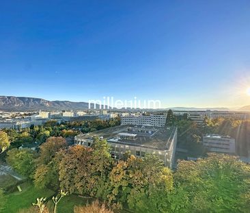 Appartement 2P meublé avec balcon proche ONU - Foto 6
