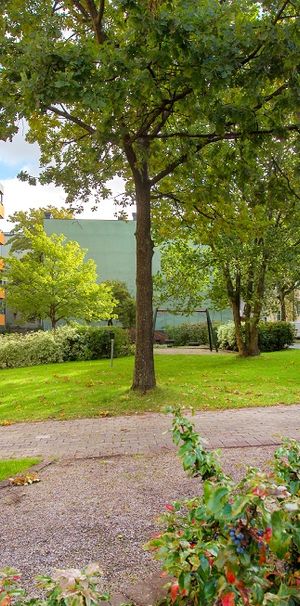 Skepparegatan 37 c - Foto 2