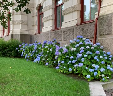 Viktoriagatan, Göteborg - Photo 6