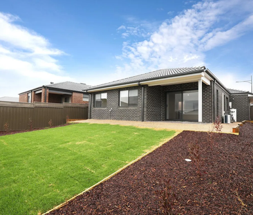 11 Duloe Rise, Melton South VIC 3338 - House For Rent | Domain - Photo 6