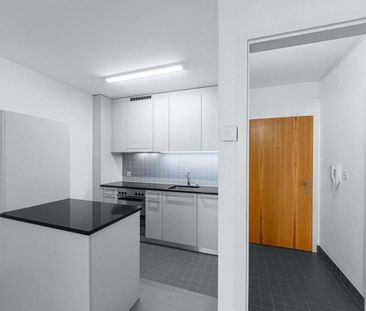 Quiet residential area near the University of Basel - Foto 1