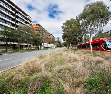 105/300 Northbourne Avenue, Dickson ACT 2602 - Apartment For Rent |... - Photo 6