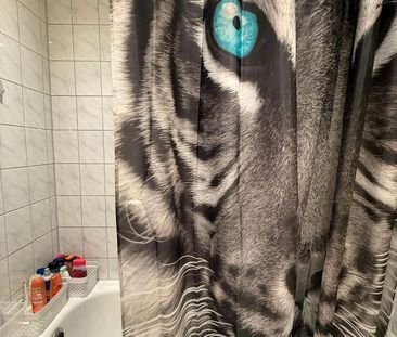 Nachmieter gesucht. ab 01.03.26 - Foto 1