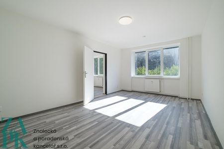 Pronájem bytu 1+1, Střekov, Ústí nad Labem - Photo 2