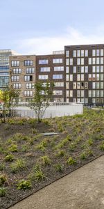 Te huur: Omegaplantsoen 339 - Photo 3