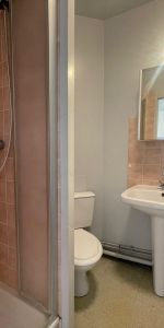 Location Appartement 1 pièce 16m² CHAMBRAY LES TOURS 37170 - Photo 3