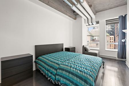 Appartement à louer, Montréal (Ville-Marie) - Photo 4