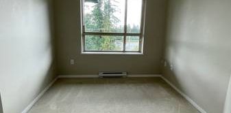 2 bed/ 2 bath TOP FLOOR apt for rent - Photo 2