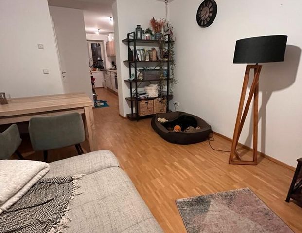 Nachmieter ab 01.02.2026 gesucht - Foto 1