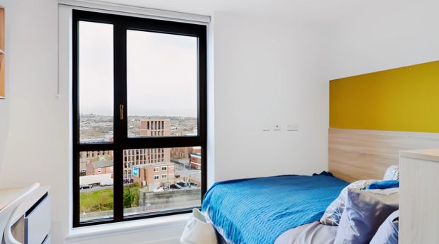 Studio gold - Photo 1