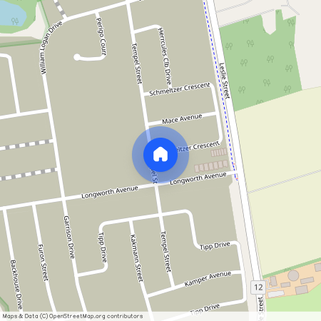 123 Schmeltzer Crescent, Richmond Hill