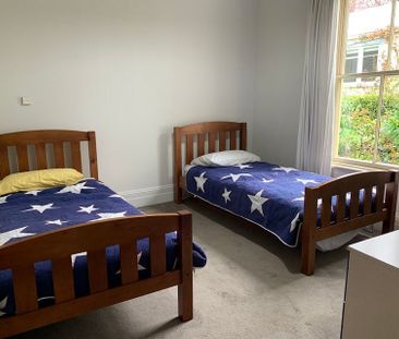 Alfie - Furnished house rental Nelson South - Photo 2