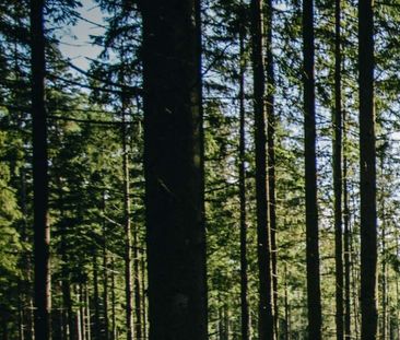 Frestavägen, Sollentuna - Foto 2