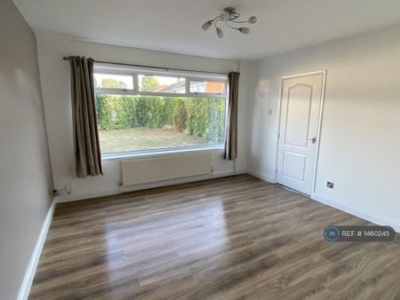 3 bedroom semi-detached house to rent - Photo 3