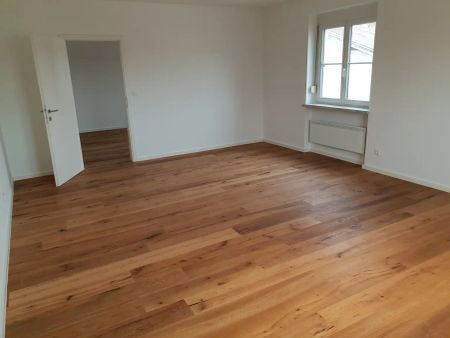 Edle Wohnung mit Garten zu vermieten! - Photo 2