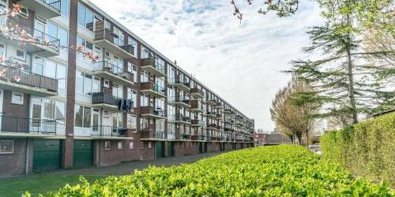 Verdistraat 2324 Leiden - Foto 3