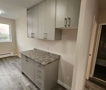 1817-1827 Victoria Park — 1 Bedroom - Photo 2