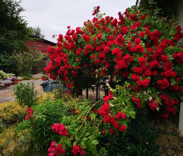 Rödakorsgatan, Tyringe - Foto 6