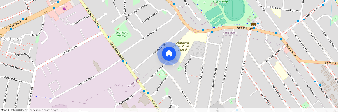 3/29-31 Treloar Avenue, NSW 2223, Mortdale