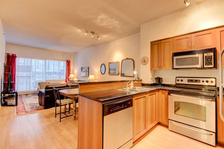 Condo for rent, Montréal (Ville-Marie) - Photo 3