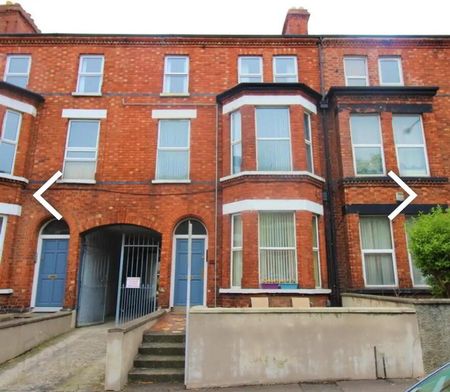 Flat 1, 22 Eglantine Avenue, Off Malone Road, Belfast, BT9 6DX - Photo 5