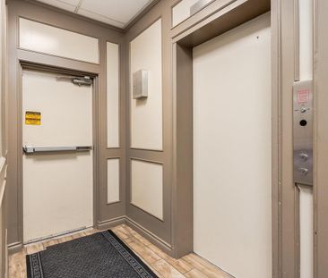 Renovated Suite - 1 Bedroom - Photo 4