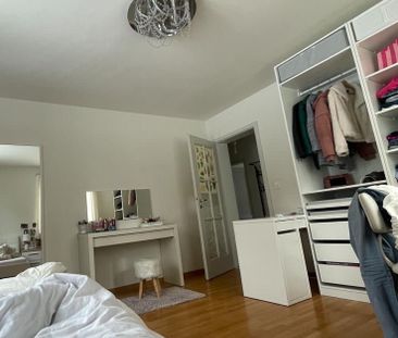 13 m² - Photo 2