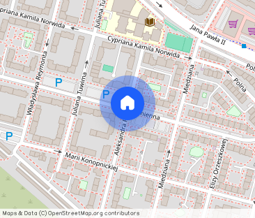 Mieszkanie do wynajęcia 50m2 dwa pokoje - Фото 1