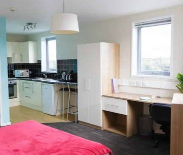 Silver Studio - Photo 5